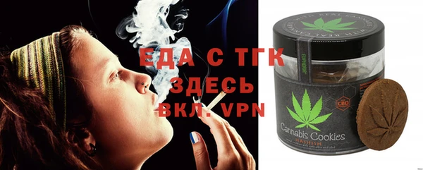 гидра Шадринск