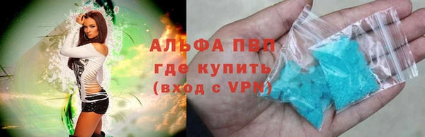 гидра Шадринск