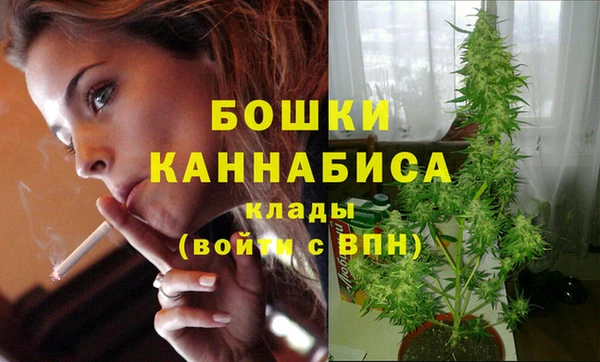 гидра Шадринск