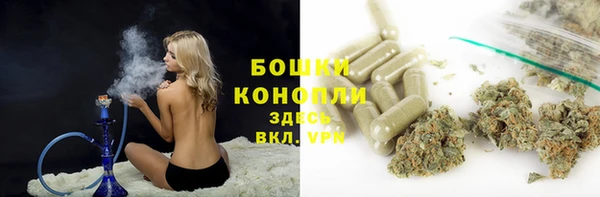 Альфа ПВП Шали