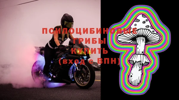 гидра Шадринск